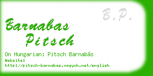 barnabas pitsch business card